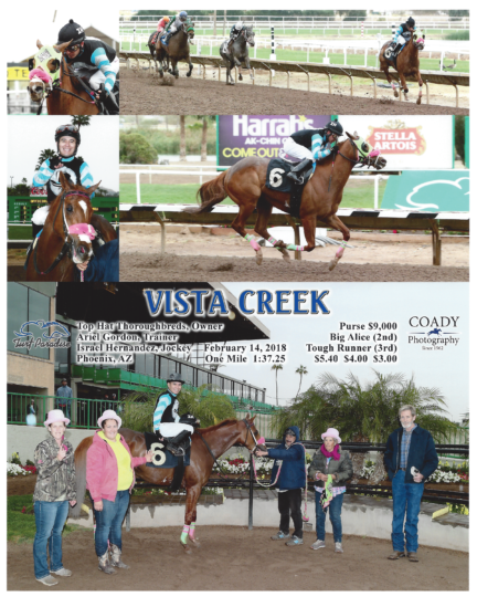 Vista Creek 20180214_TurfParadise_R3_WinnersCircle